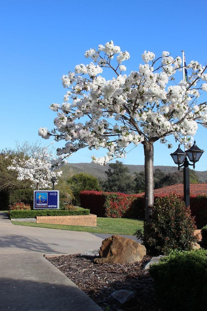 Hume Country Motor Inn Albury Dış mekan fotoğraf